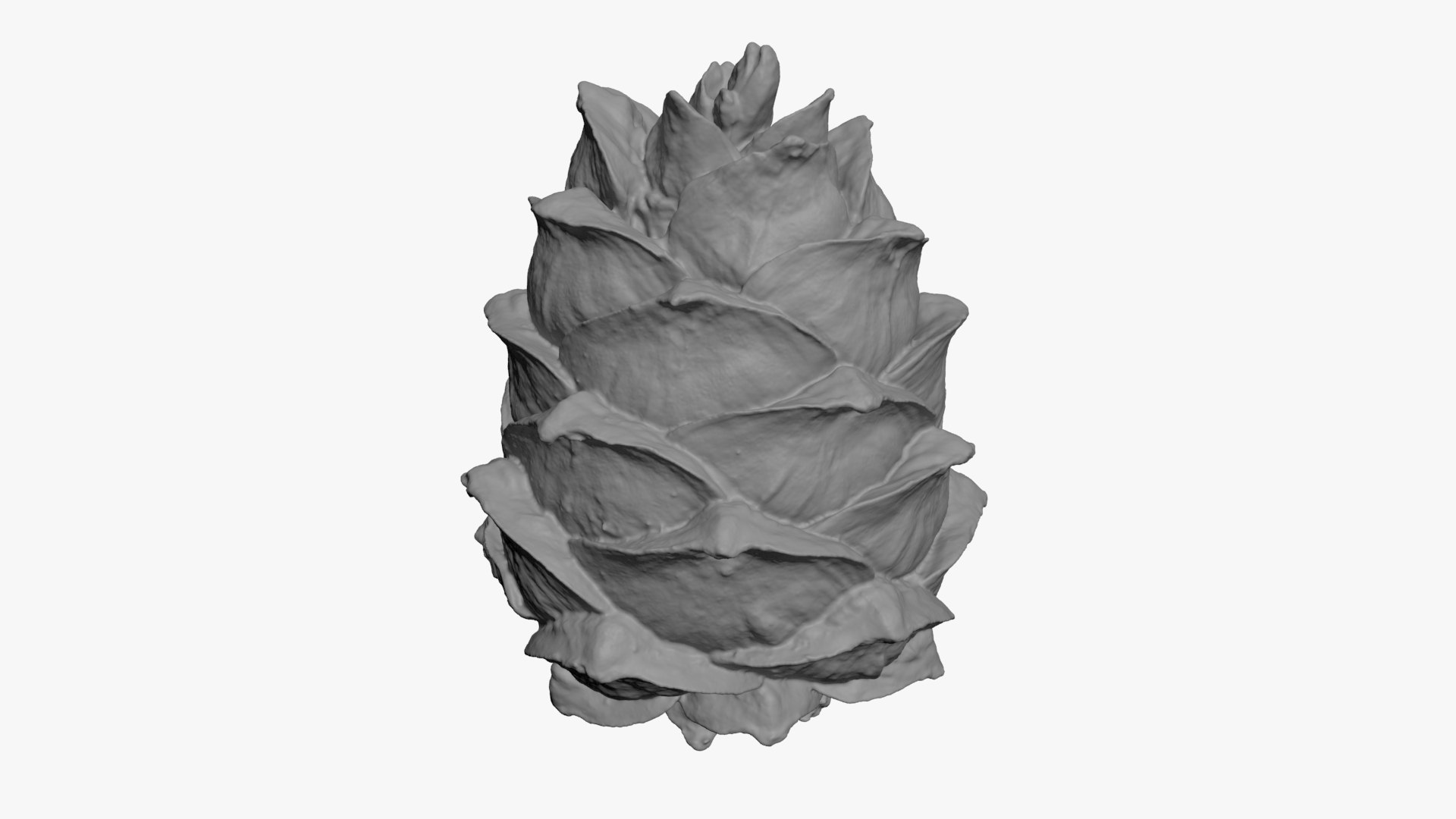 Pine Nut Taiga 01 3D Print 3D model https://p.turbosquid.com/ts-thumb/dg/7u5WtB/iF/pinetaiga01_b0004/jpg/1727943411/1920x1080/fit_q87/3362e354a69babf9b0ba7f9742791d38818b66d4/pinetaiga01_b0004.jpg