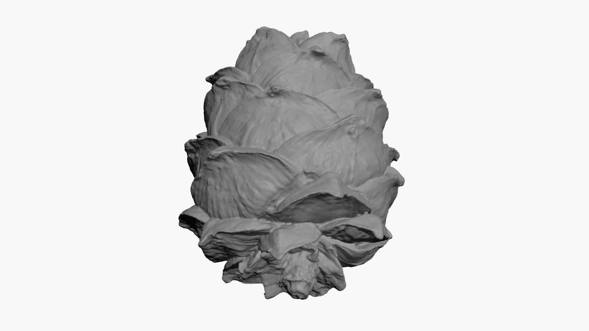 Pine Nut Taiga 01 3D Print 3D model https://p.turbosquid.com/ts-thumb/dg/7u5WtB/kz/pinetaiga01_b0006/jpg/1727943412/1920x1080/fit_q87/f30b3c9b133aaef45bcd2e87248c48969b9895df/pinetaiga01_b0006.jpg