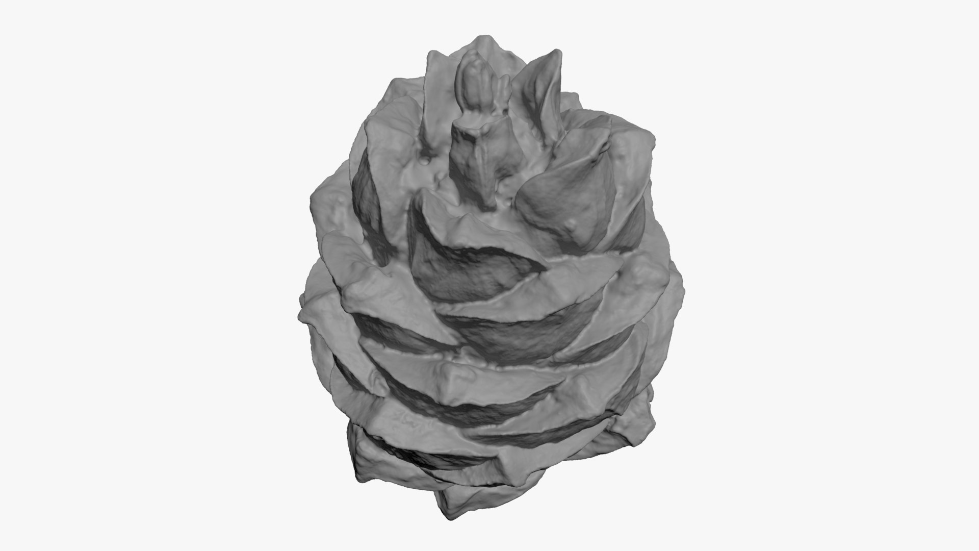 Pine Nut Taiga 01 3D Print 3D model https://p.turbosquid.com/ts-thumb/dg/7u5WtB/lt/pinetaiga01_b0002/jpg/1727943411/1920x1080/fit_q87/986e61872ac1f6ecd715aae937b863ab74ce44d2/pinetaiga01_b0002.jpg