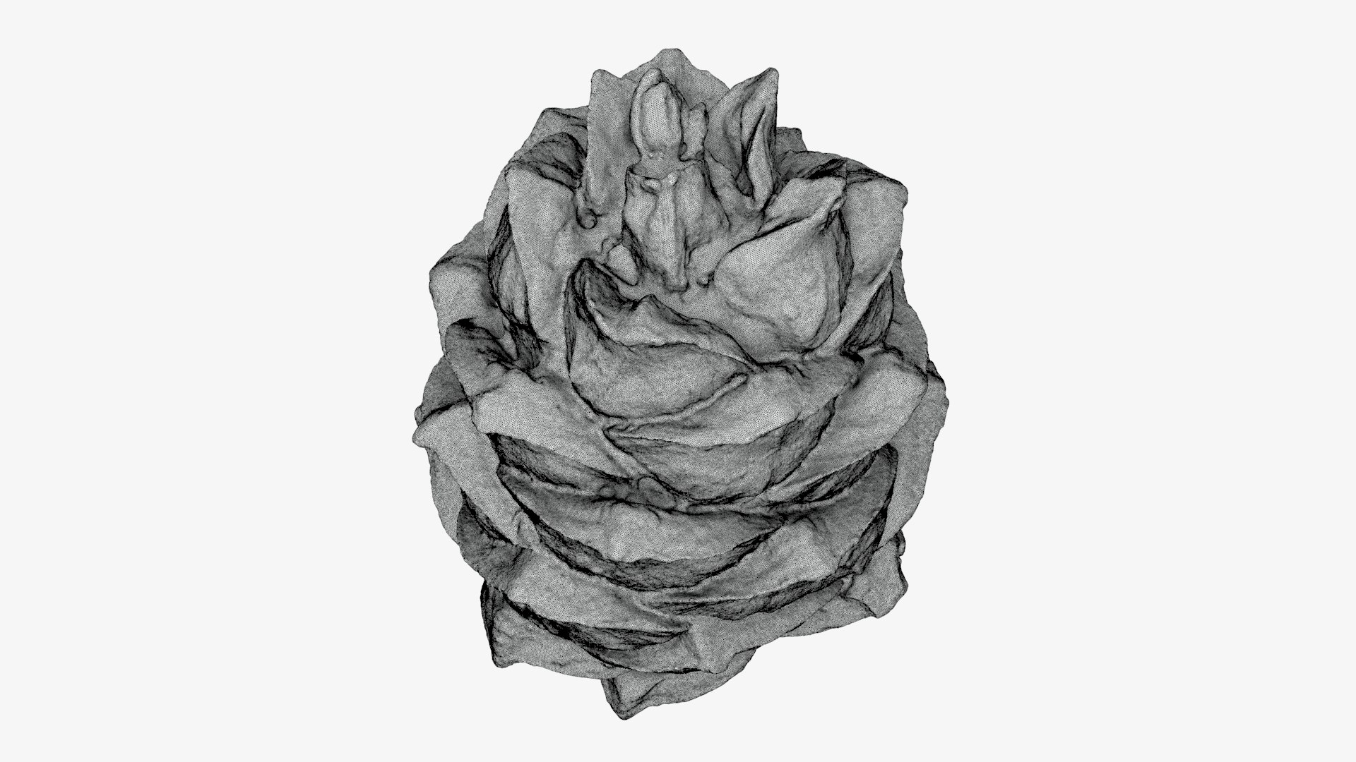 Pine Nut Taiga 01 3D Print 3D model https://p.turbosquid.com/ts-thumb/dg/7u5WtB/qH/pinetaiga01_g0003/jpg/1727943418/1920x1080/fit_q87/9d5a2b558db8213eb2b56ce0d2b28823fd367e7c/pinetaiga01_g0003.jpg