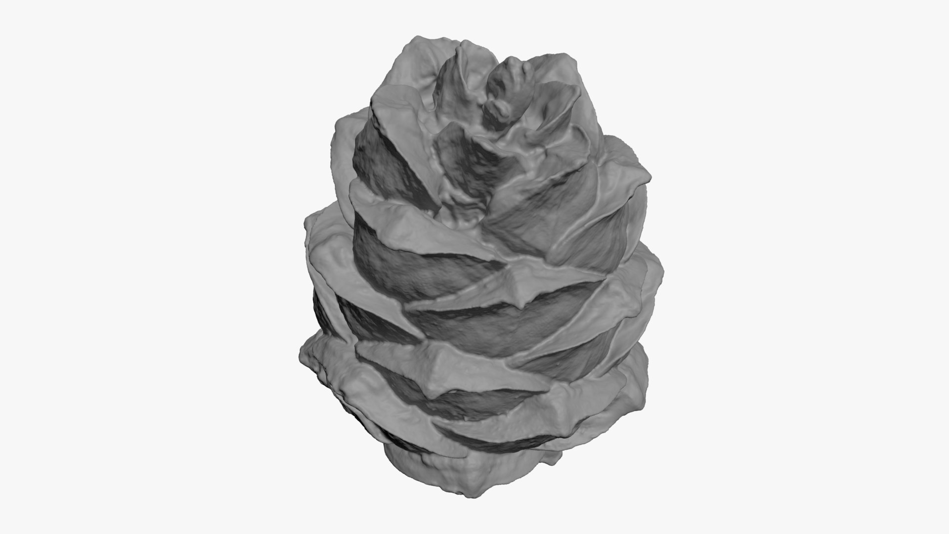 Pine Nut Taiga 01 3D Print 3D model https://p.turbosquid.com/ts-thumb/dg/7u5WtB/tx/pinetaiga01_b0008/jpg/1727943413/1920x1080/fit_q87/e6bd6730274dc6fde0be667dd4f99cd8aff14185/pinetaiga01_b0008.jpg