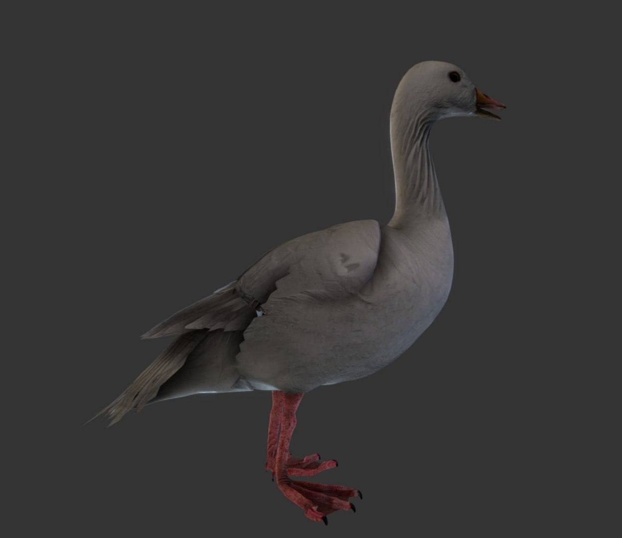 3D goose rigged - TurboSquid 1418535