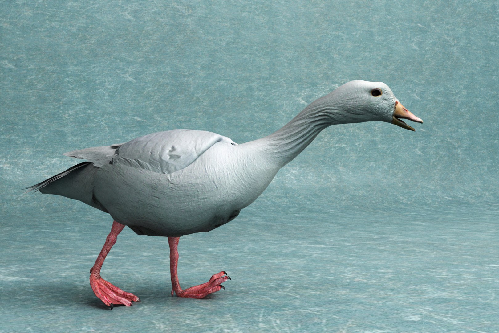 3D goose rigged - TurboSquid 1418535