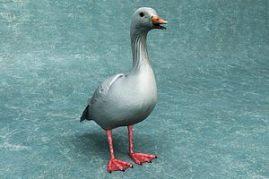 Goose rigged lowpoly