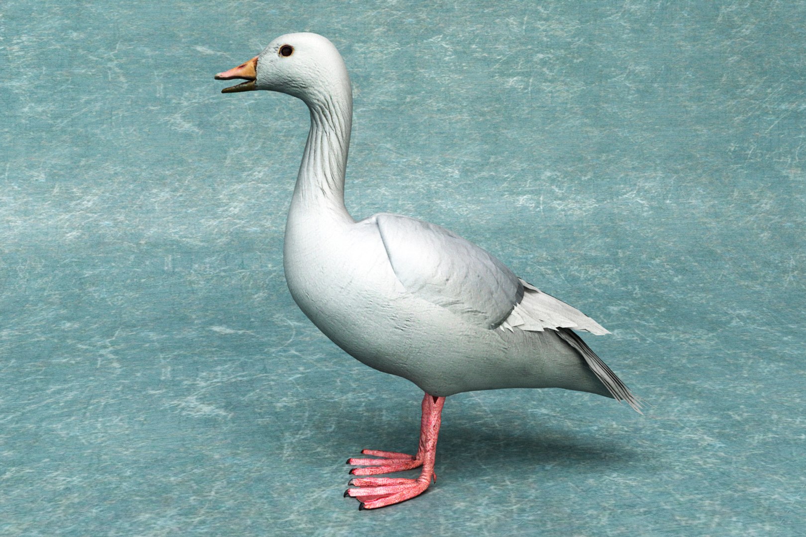3D goose rigged - TurboSquid 1418535