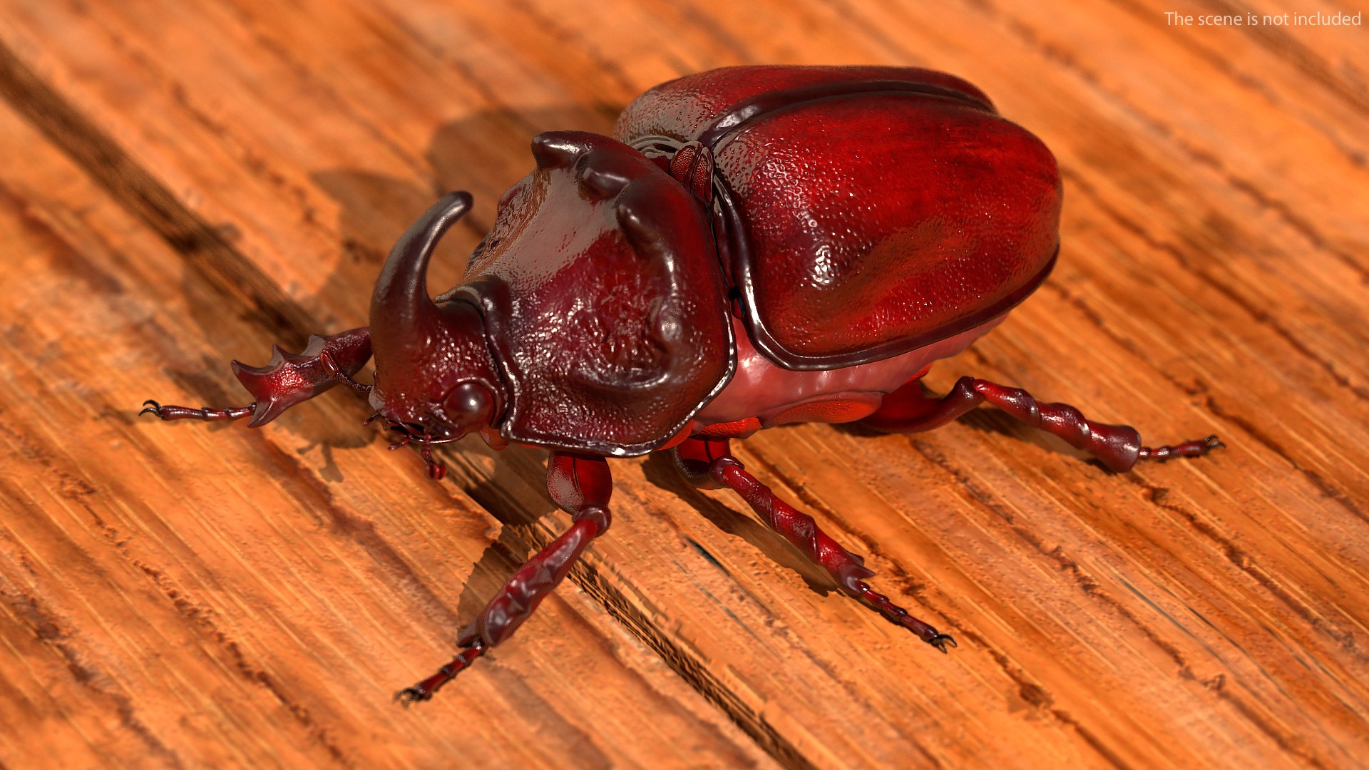 3D model rhinoceros beetle oryctes nasicornis https://p.turbosquid.com/ts-thumb/dg/OnLmk9/8i7fVwbx/rhinocerosbeetleoryctesnasicornisriggedmb3dmodel007/jpg/1585392872/1920x1080/fit_q87/20266ece4083fb628a75adaf176938dc084f3e65/rhinocerosbeetleoryctesnasicornisriggedmb3dmodel007.jpg