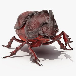 3D model rhinoceros beetle oryctes nasicornis