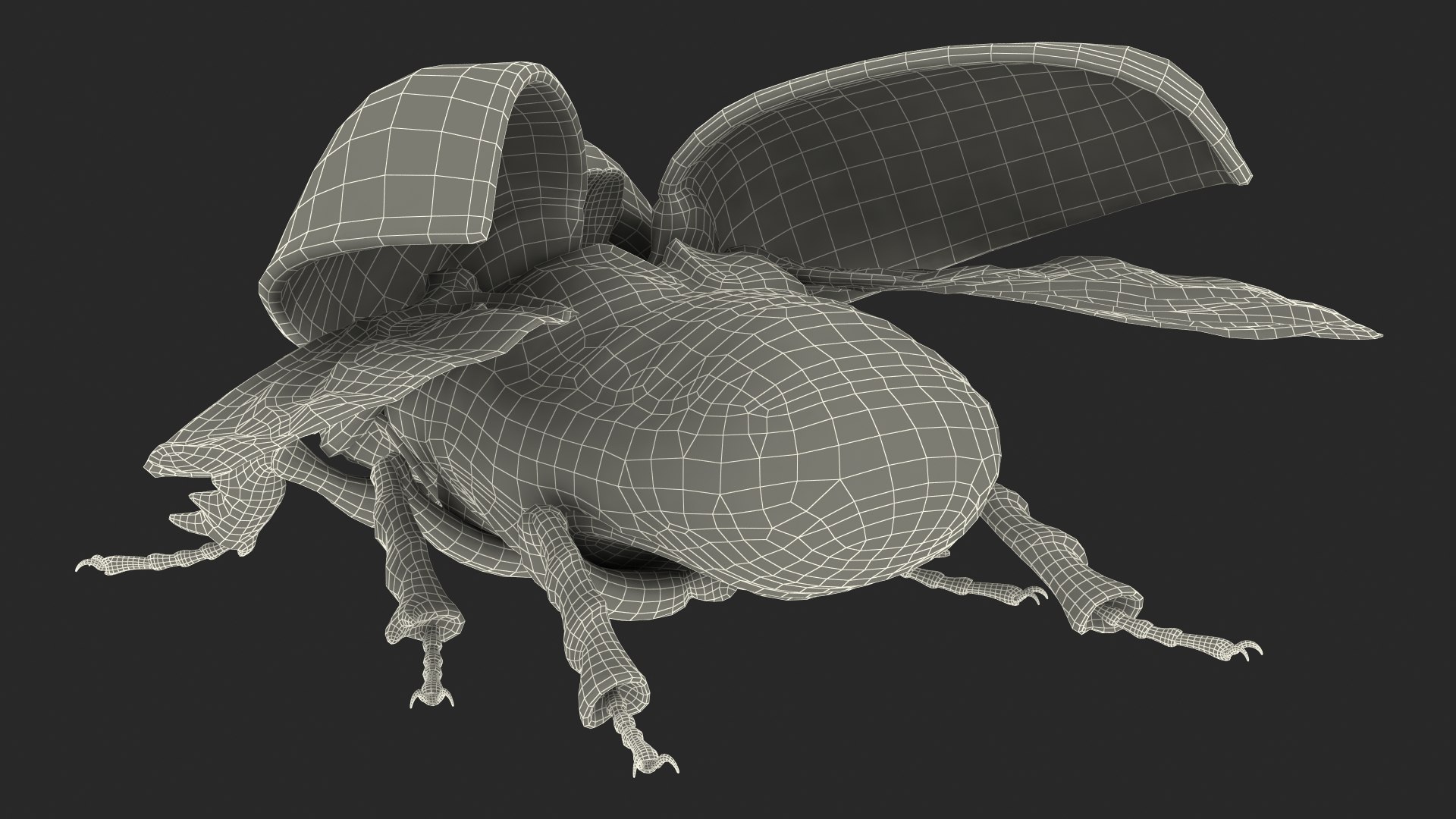 3D model rhinoceros beetle oryctes nasicornis https://p.turbosquid.com/ts-thumb/dg/OnLmk9/T05Q2Qy7/rhinocerosbeetleoryctesnasicornisriggedmb3dmodel039/jpg/1585393140/1920x1080/fit_q87/8d8c246baee176e41a0f0d4081e723eea5911e09/rhinocerosbeetleoryctesnasicornisriggedmb3dmodel039.jpg