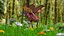 Жук-носорог Oryctes Nasicornis Rigged