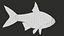 Fish Rudd PBR animato