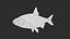 Fish Rudd PBR animato