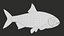 Fish Rudd PBR animato