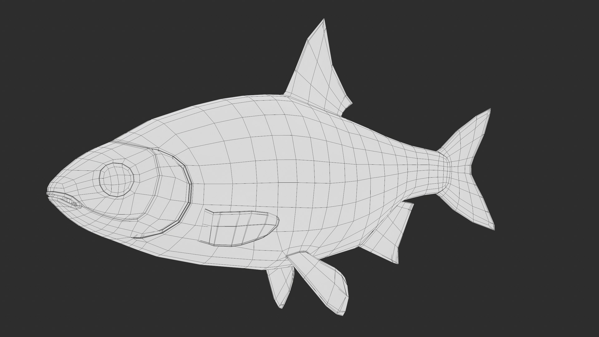 3D Fish Rudd Animated PBR https://p.turbosquid.com/ts-thumb/dg/ZYB9MI/Wq/screenshot096/png/1687712894/1920x1080/fit_q87/6a75528ed69046e812174dbd277707fe32614f65/screenshot096.jpg