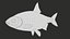 Fish Rudd PBR animato