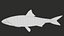 Fish Rudd PBR animato