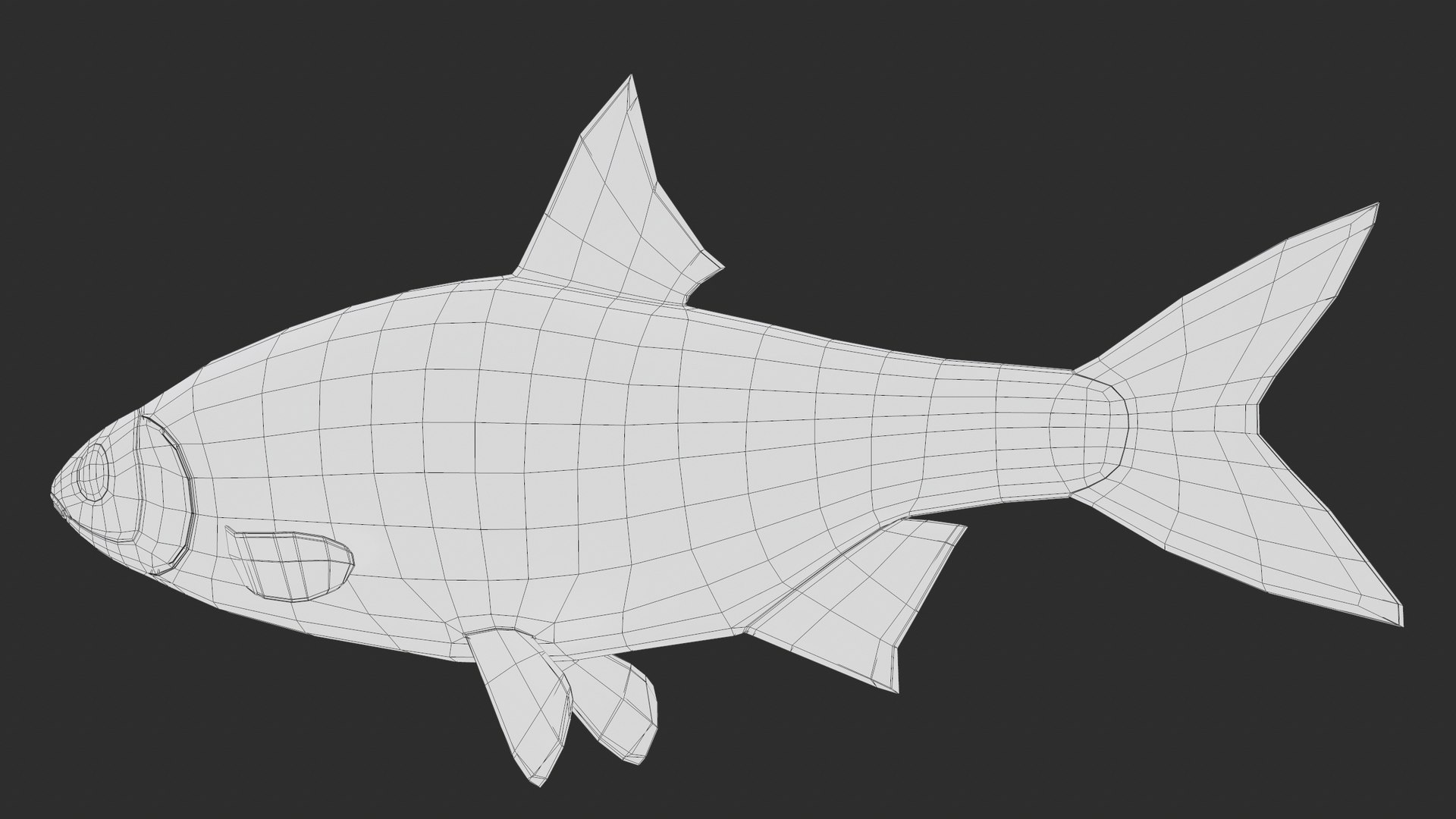 3D Fish Rudd Animated PBR https://p.turbosquid.com/ts-thumb/dg/ZYB9MI/hU/screenshot105/png/1687712900/1920x1080/fit_q87/bbeb00617b89b3925501f71ab3835563858e2cb4/screenshot105.jpg