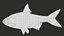 Fish Rudd PBR animato