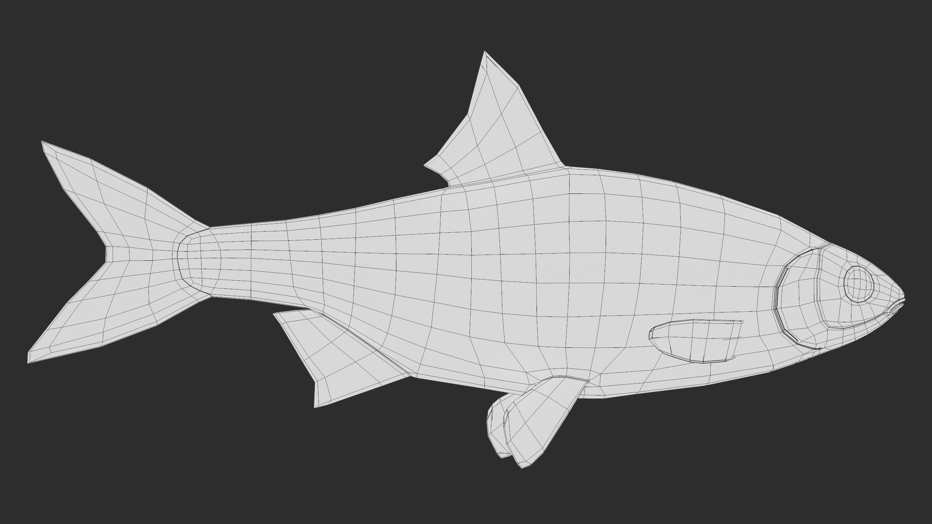 3D Fish Rudd Animated PBR https://p.turbosquid.com/ts-thumb/dg/ZYB9MI/l6/screenshot101/png/1687712897/1920x1080/fit_q87/14db5ca5847285fcc8802d03ec4c05112577e37c/screenshot101.jpg