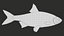 Fish Rudd PBR animato
