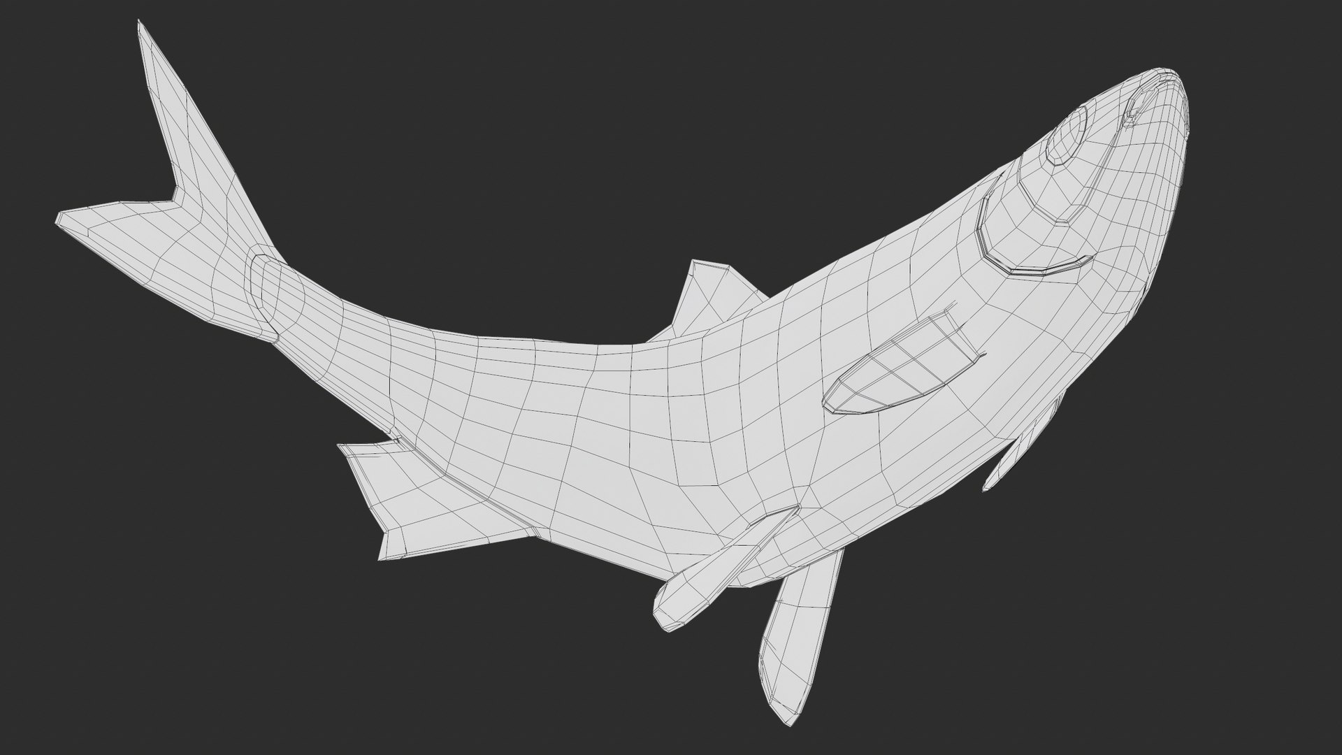 3D Fish Rudd Animated PBR https://p.turbosquid.com/ts-thumb/dg/ZYB9MI/m9/screenshot112/png/1687712904/1920x1080/fit_q87/711ec5d77c088f162324d6e1659b632f586e67ed/screenshot112.jpg