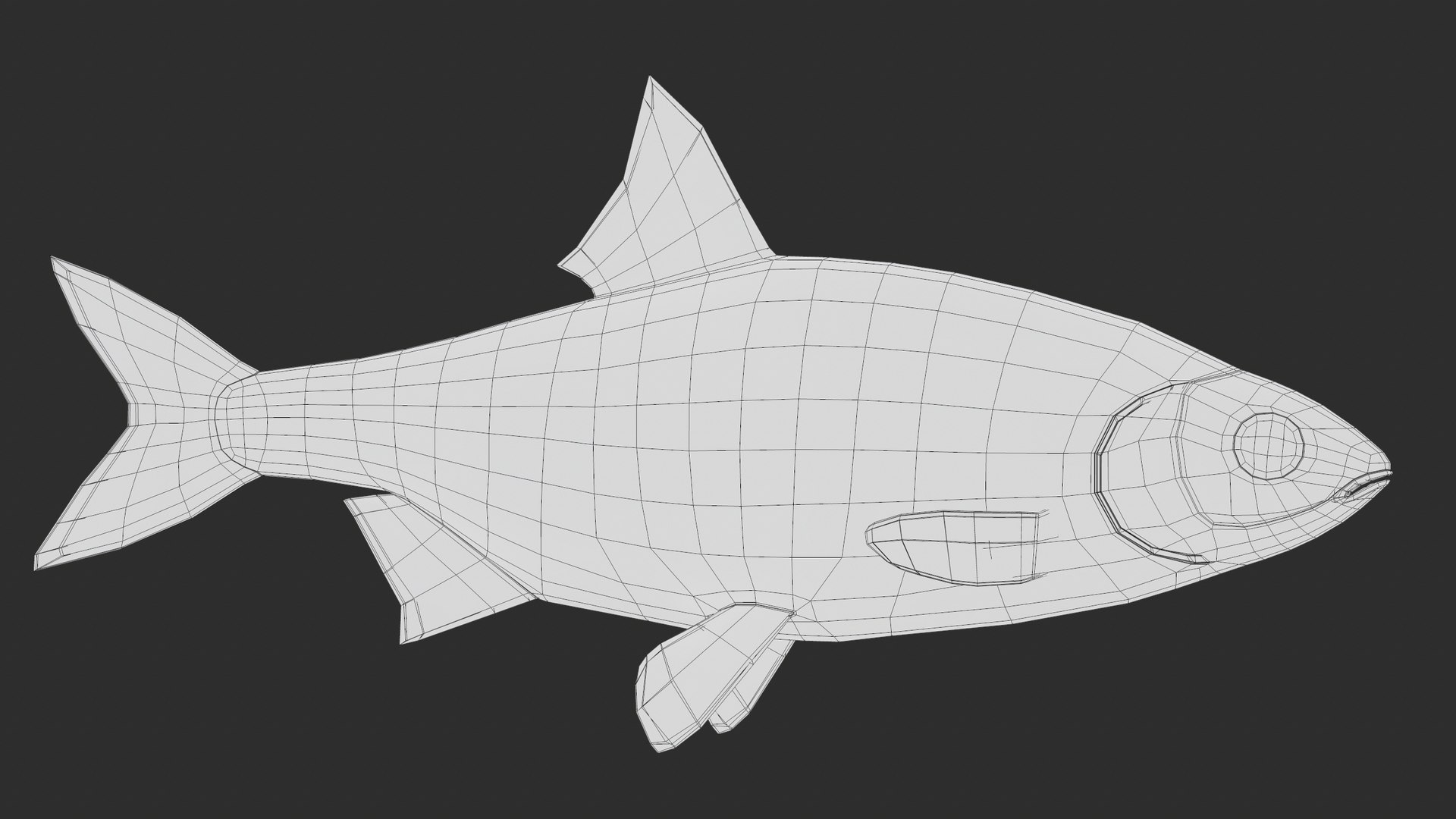 3D Fish Rudd Animated PBR https://p.turbosquid.com/ts-thumb/dg/ZYB9MI/qS/screenshot100/png/1687712896/1920x1080/fit_q87/c9e707c4b23f153bf72523eaf30ddf5e31a0938d/screenshot100.jpg