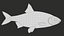 Fish Rudd PBR animato