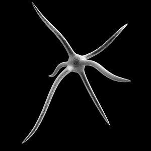 neuron.max