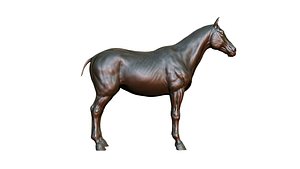 horse 3D model