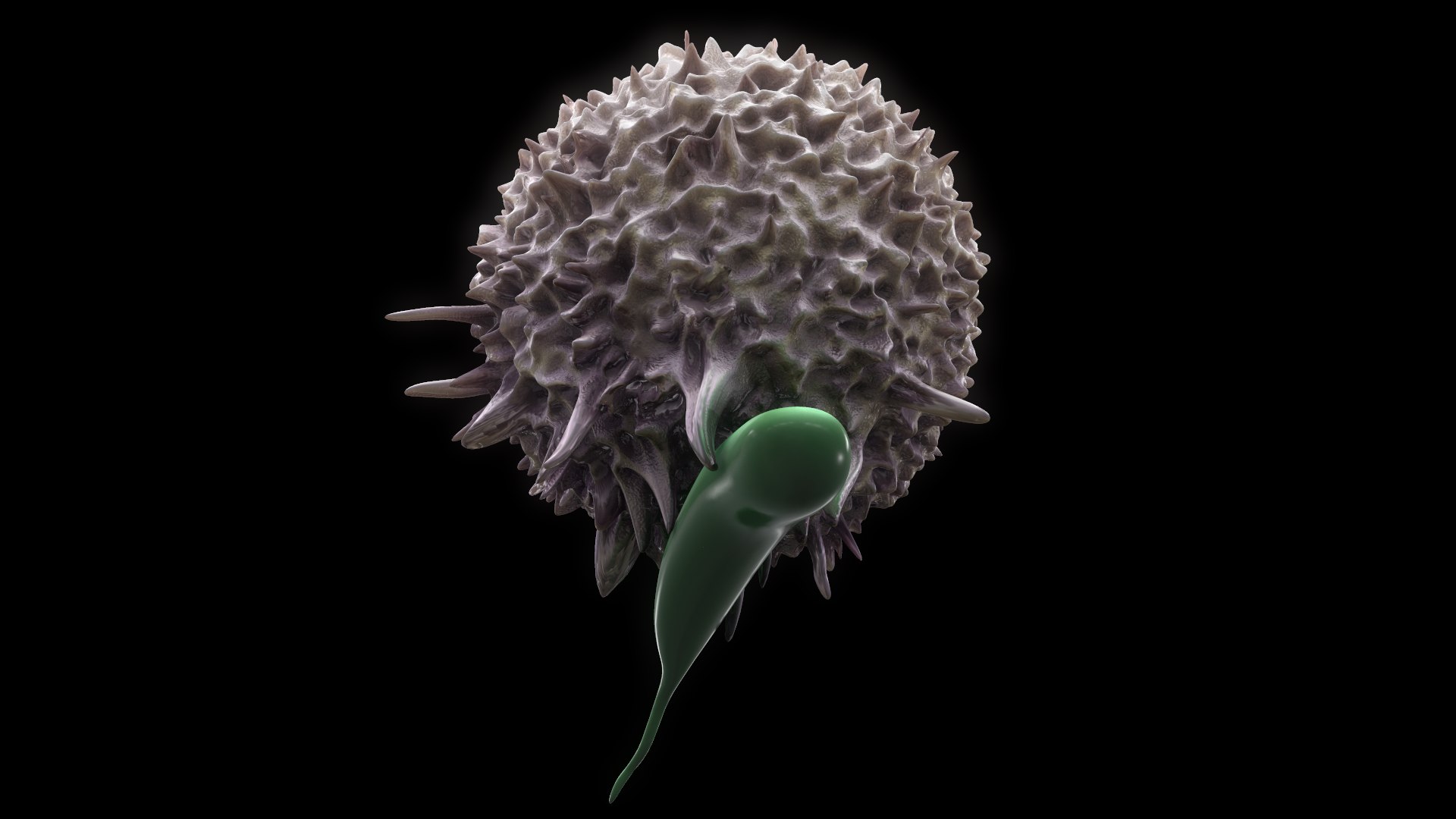Lymphocyte Lymph 3D Model - TurboSquid 1465859