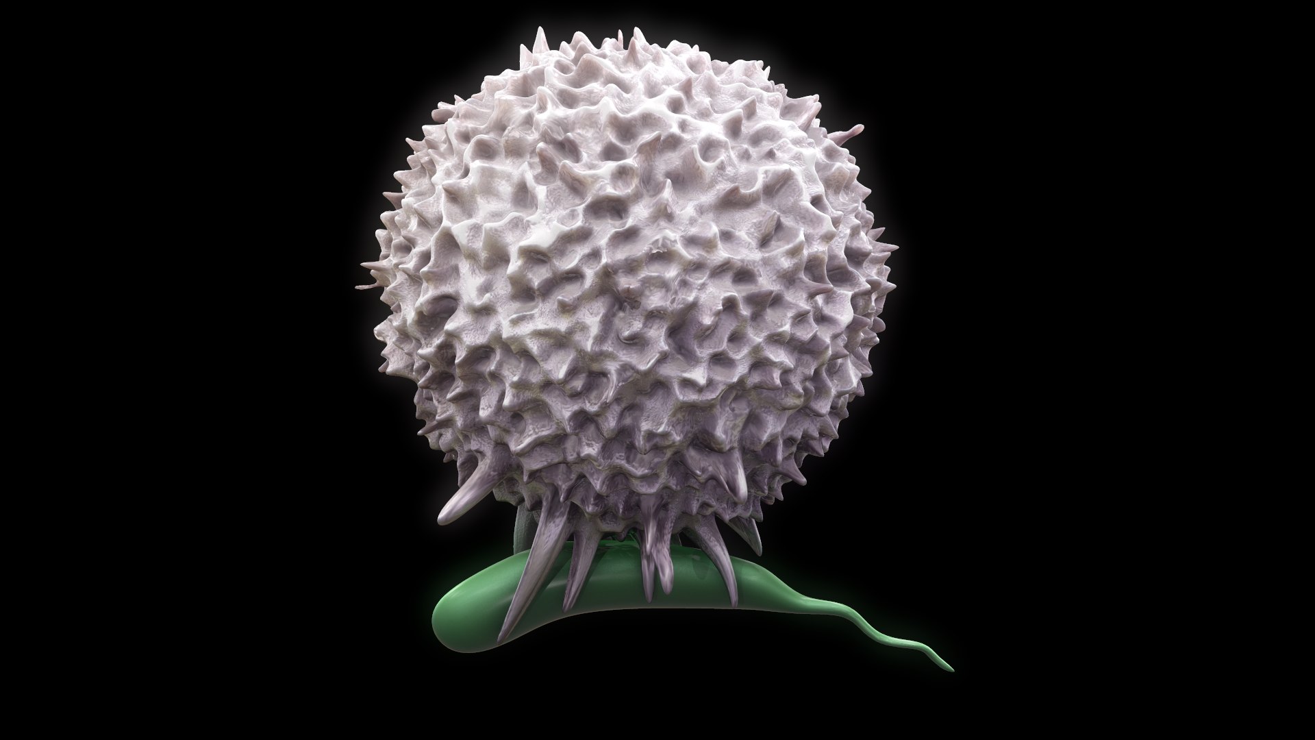 Lymphocyte Lymph 3D Model - TurboSquid 1465859