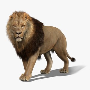 Lion 2 RIG FUR