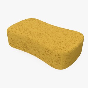 washing sponge 3D model