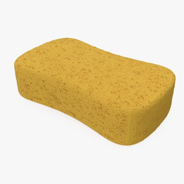 Sponge 3D Models for Download | TurboSquid