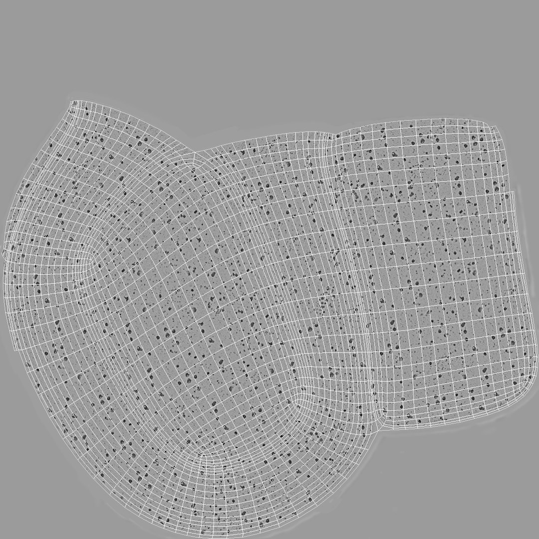 washing sponge 3D model https://p.turbosquid.com/ts-thumb/dh/HE8mMT/jChlxAxc/washingsponge3dsmodel009/jpg/1556711630/1920x1080/fit_q87/1a9e245866cefd8f733e0ea300940c0e355a2c69/washingsponge3dsmodel009.jpg