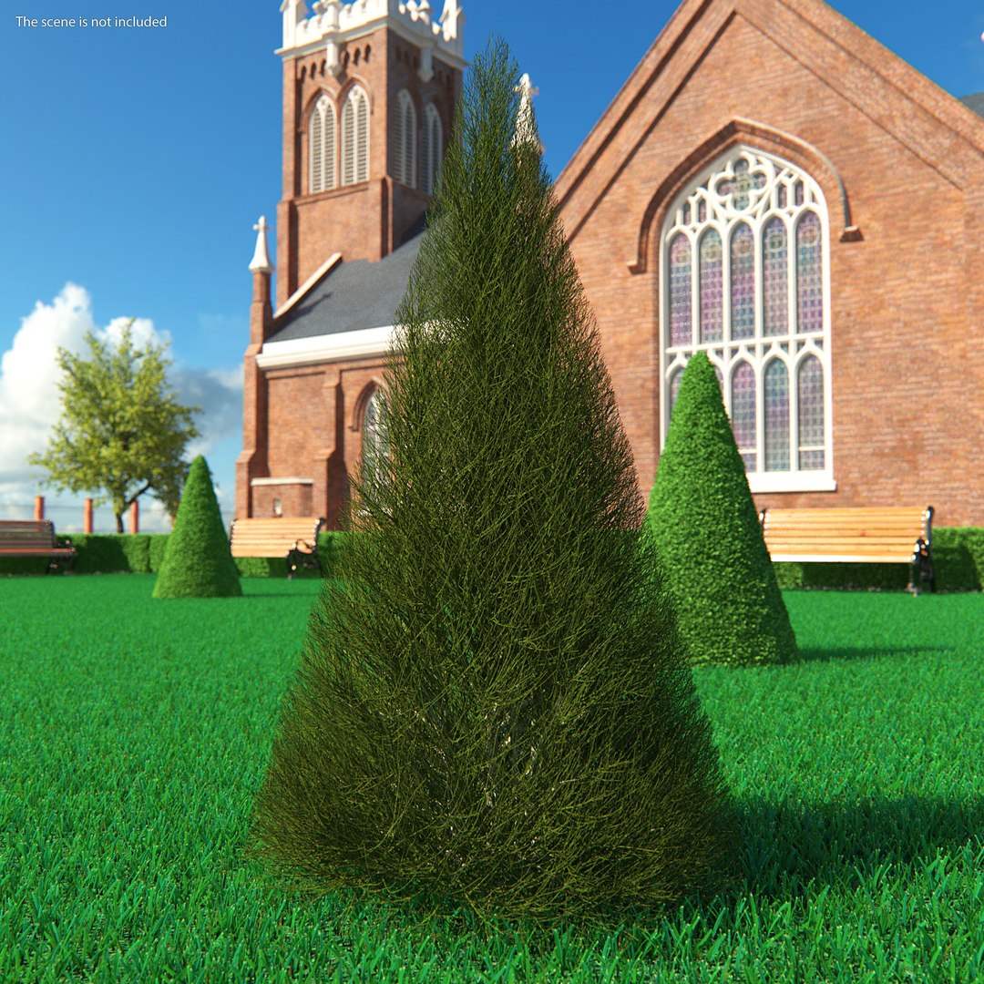 3D model pyramidal bare shrub https://p.turbosquid.com/ts-thumb/dh/J8t4DG/AhlYP1Ch/pyramidalbareshrubvray3dmodel002/jpg/1591333232/1920x1080/fit_q87/1d922a968986557498229119e871678a6c838f4f/pyramidalbareshrubvray3dmodel002.jpg