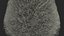 Pyramidal Bare Shrub