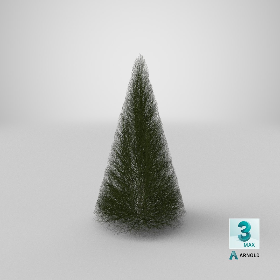 3D model pyramidal bare shrub https://p.turbosquid.com/ts-thumb/dh/J8t4DG/Xn/stemcell_max_arnold_render/png/1647531579/1920x1080/fit_q87/9b86733cf6c5389c9d39342ffd1532e70cf922c4/stemcell_max_arnold_render.jpg