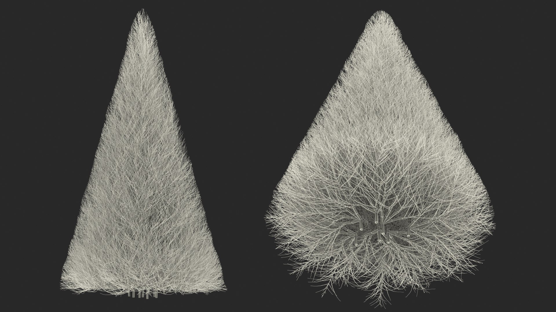 3D model pyramidal bare shrub https://p.turbosquid.com/ts-thumb/dh/J8t4DG/lnbXCU2V/pyramidalbareshrubvray3dmodel019/jpg/1591333404/1920x1080/fit_q87/4b7f2cbef71ae2b3f202174f278d4c536cbe354f/pyramidalbareshrubvray3dmodel019.jpg
