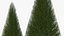 Pyramidal Bare Shrub
