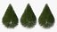 Pyramidal Bare Shrub