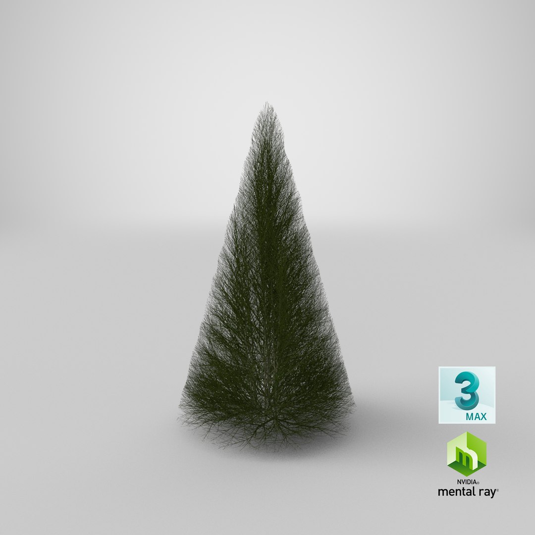 3D model pyramidal bare shrub https://p.turbosquid.com/ts-thumb/dh/J8t4DG/x2/stemcell_max_mental_ray_render/png/1647531582/1920x1080/fit_q87/7c07e62b97ec05c7a2e58e9ca2a58cbf718e01e0/stemcell_max_mental_ray_render.jpg