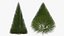 Pyramidal Bare Shrub