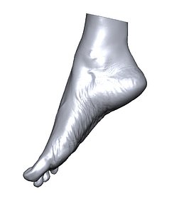 scan foot model
