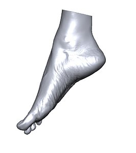 Pied4
