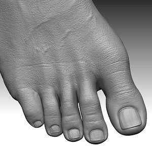 Foot Realistic