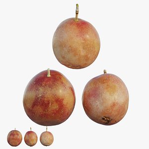 3D Passion fruit 02 model