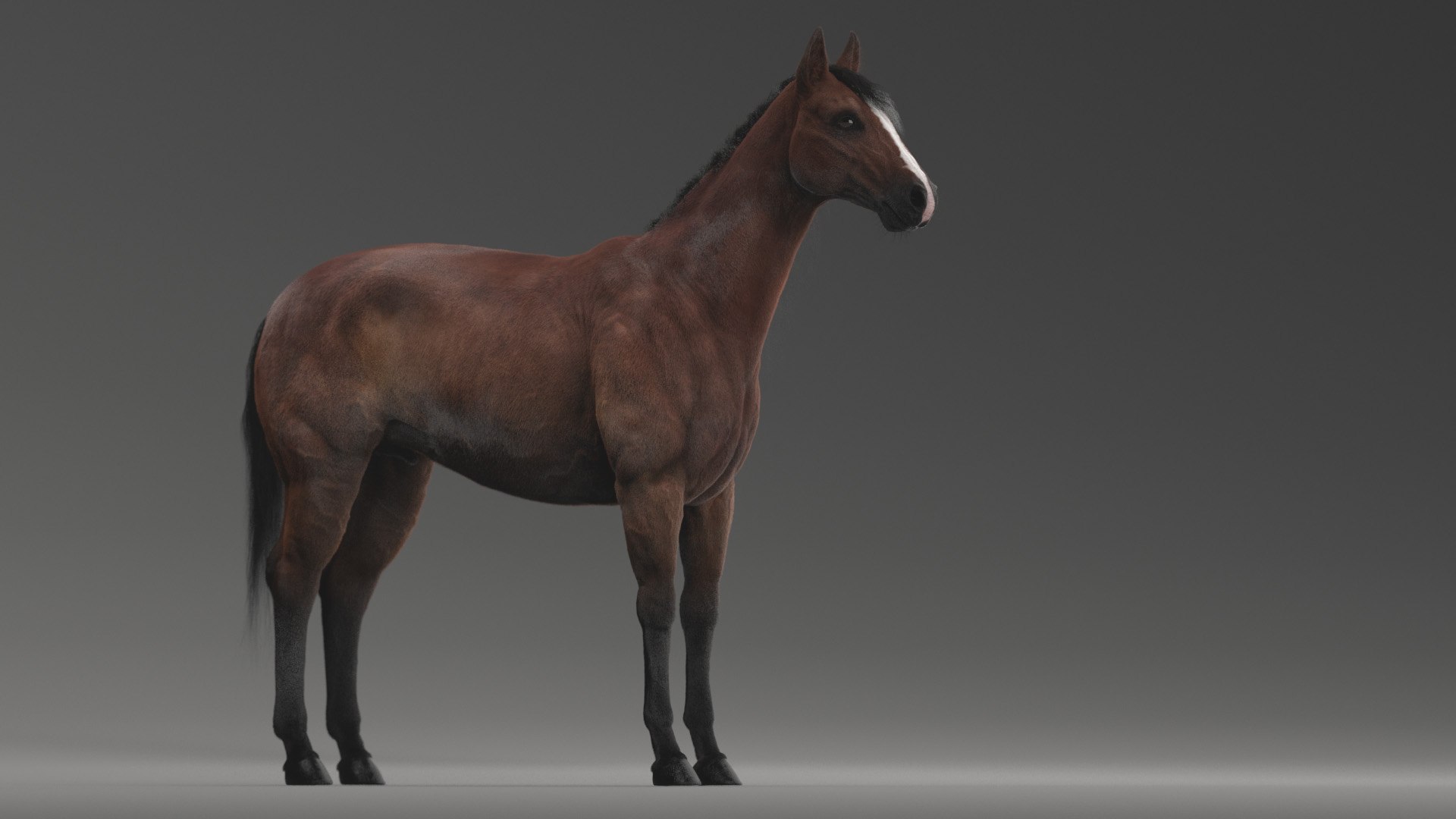 horse rigged model https://p.turbosquid.com/ts-thumb/dh/ZOpDf9/8x/2/jpg/1647708903/1920x1080/fit_q87/eb04ce08b38ca7802b7856e9c5c107dfbff8b404/2.jpg