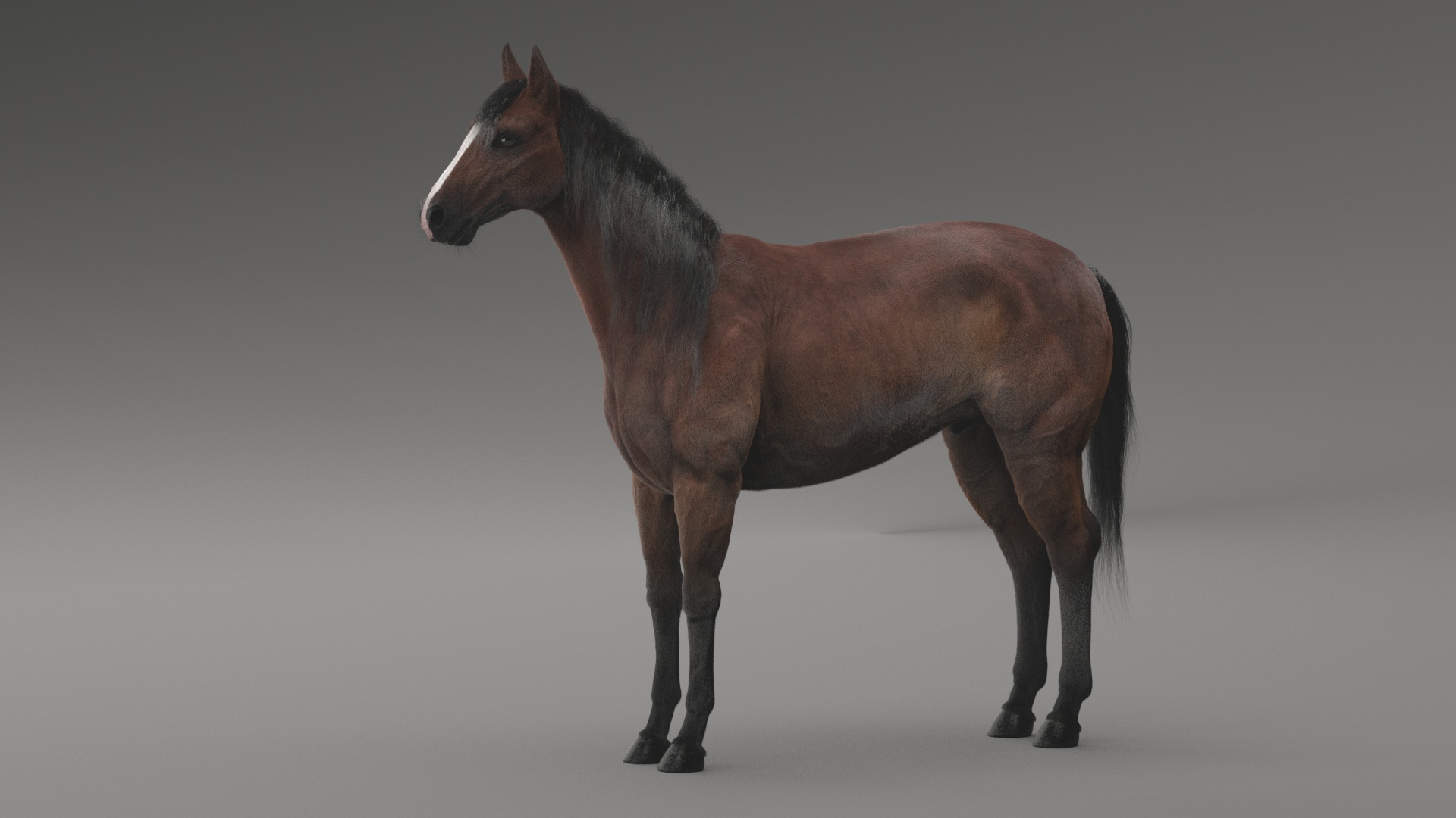horse rigged model https://p.turbosquid.com/ts-thumb/dh/ZOpDf9/Bs/h/jpg/1647707899/1920x1080/turn_fit_q99/f2f01b4256249ea24ffba6777b023daa5ba7f938/h-1.jpg
