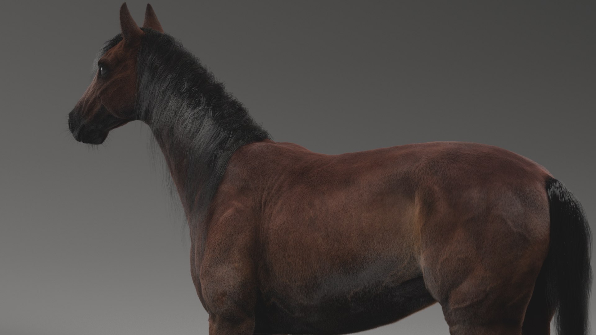 horse rigged model https://p.turbosquid.com/ts-thumb/dh/ZOpDf9/EN/4/png/1647708957/1920x1080/fit_q87/6a79dcff6b7746fb4c5a05c808fa7e7fc5facd16/4.jpg
