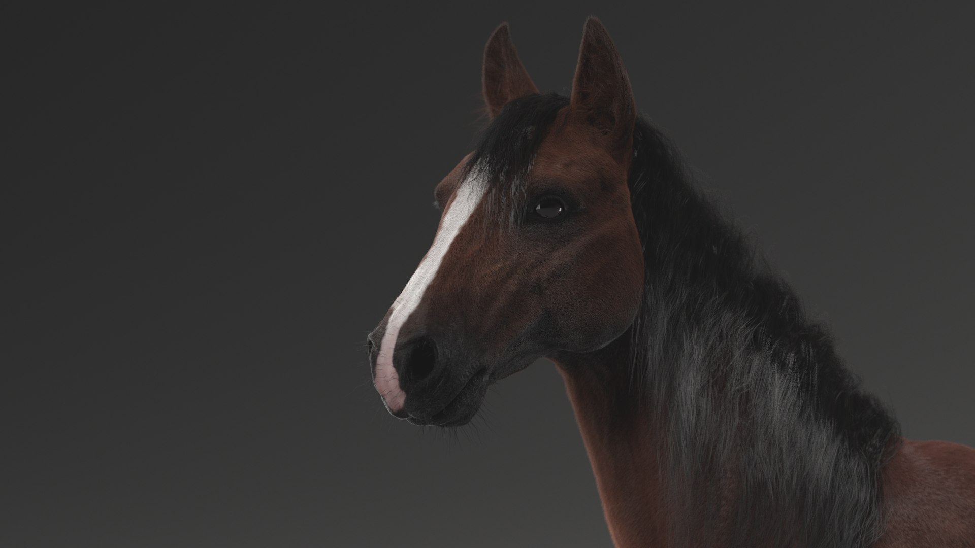 horse rigged model https://p.turbosquid.com/ts-thumb/dh/ZOpDf9/M4/9/png/1647708859/1920x1080/fit_q87/0d9edc80c5031bc5c89725ac2057902c66b46b90/9.jpg